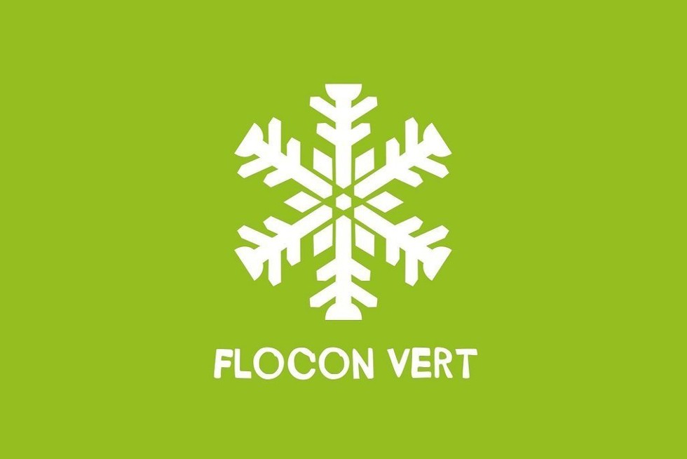 Logo flocon vert