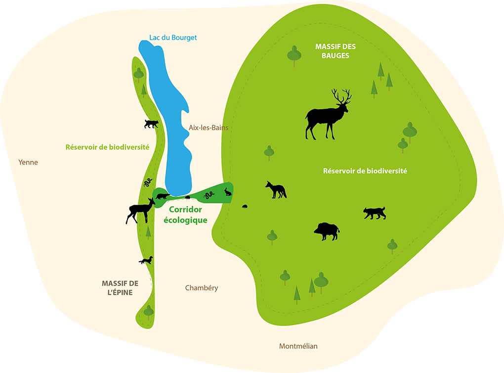 Infographie corridor écologique sud lac Bourget copie